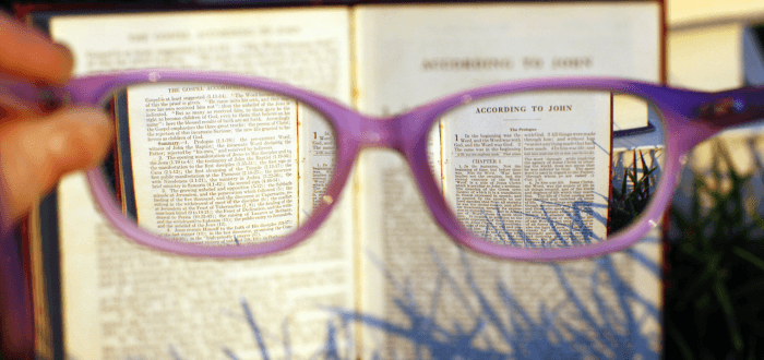 Klammeraffe Lesebrille