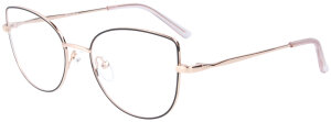 Elegante Einstärkenbrille LENI aus Metall in...