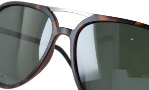 Stylische Montana Eyewear Sonnenbrille MP8A in Havanna - Grün mit polarisierenden Gläsern