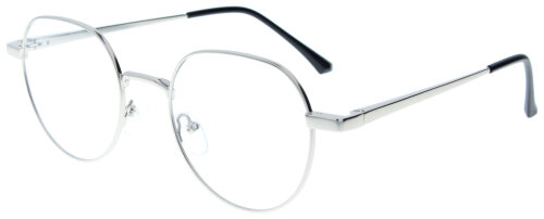 Silberne Komplettbrille TERRY wahlweise mit Sonnen-Clip, Federscharnier und individueller Sehstärke