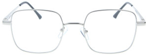 Silberne Komplettbrille SPENCER wahlweise mit...