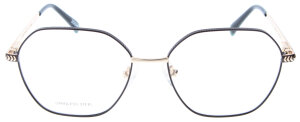 Hübsche JOSHI 8094 Col.02 Brillenfassung aus Metall in Braun / Gold