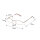 Elegante Lesebrille / Halbbrille CoopClip in Gold mit Clip / Befestigungsklammer