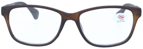 Moderne Fertiglesebrille / -hilfe "Jill" mit schickem Stecketui in Braun + 2,50 dpt